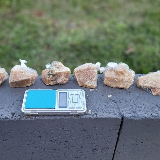 Cães farejadores ajudam PM a localizar crack enterrado em mata de São Miguel do Oeste