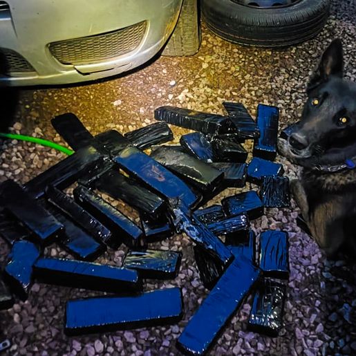 Canil encontra mais droga em carro usado para o tráfico em SMO