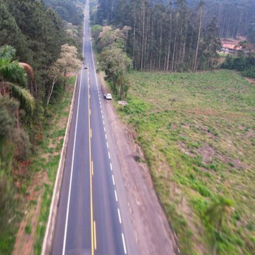 Morte de cinco jovens em acidente chama atenção para perigos da BR-280 em SC
