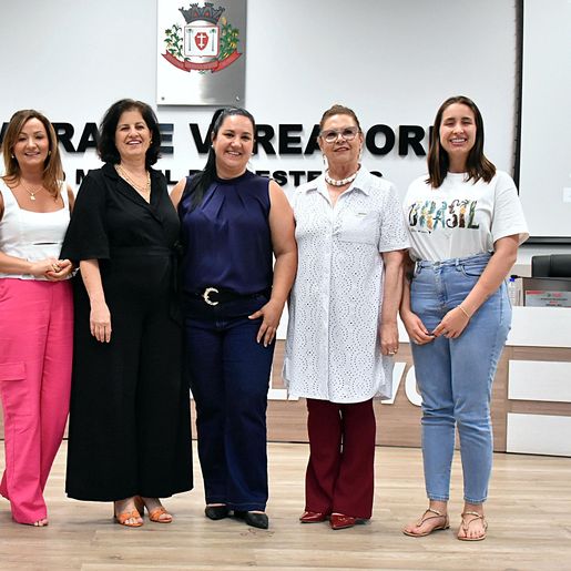 Câmara de São Miguel do Oeste cria “Galeria das Mulheres Parlamentares”
