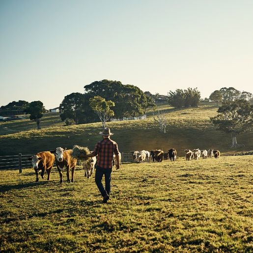 Itapiranga retoma programa de Estágio Agropecuário na Alemanha
