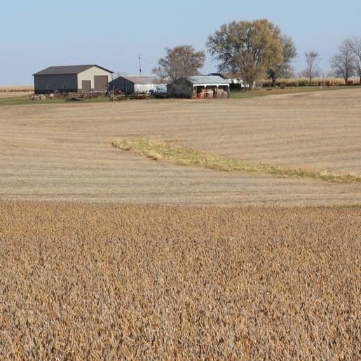 Em meio a críticas do agro, governo lança Plano Safra com crédito mais caro