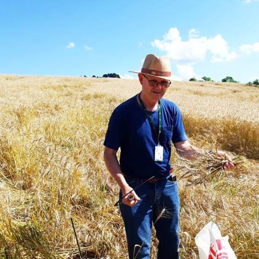 Conectando ao Agro fala sobre o plano safra; ouça a entrevista