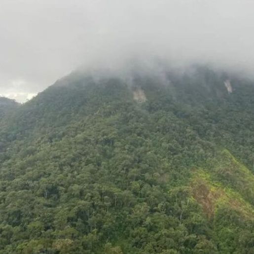 Avião que desapareceu é encontrado com três corpos na divisa entre o PR e SC