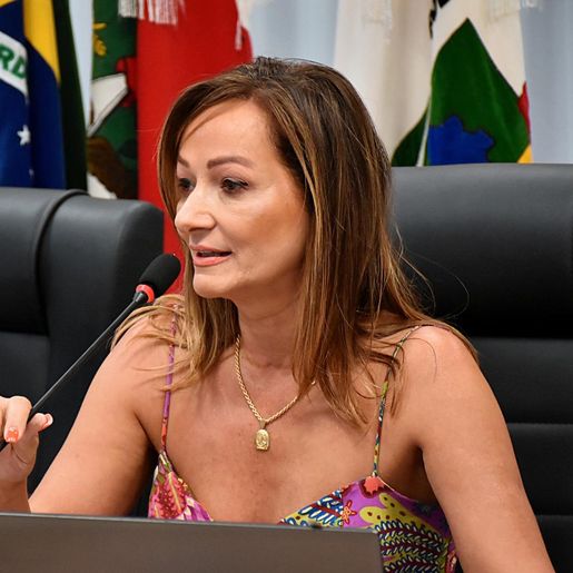 Câmara de São Miguel do Oeste aprova audiência pública para discutir políticas de moradia