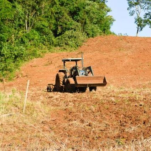 Cresce área de seca extrema em SC e lavouras têm perda de até 43%