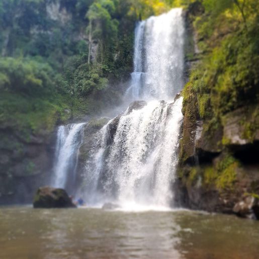 Primeiras rotas turísticas devem ser liberadas ainda neste ano, em Palma Sola