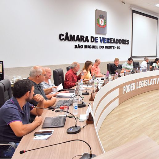 Câmara aprova declaração de utilidade pública ao Leo Clube São Miguel do Oeste Universidade