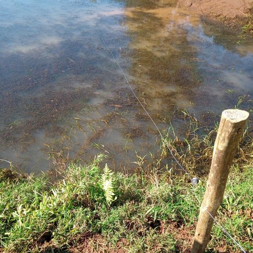 Homem é encontrado morto em açude no interior de Tunápolis