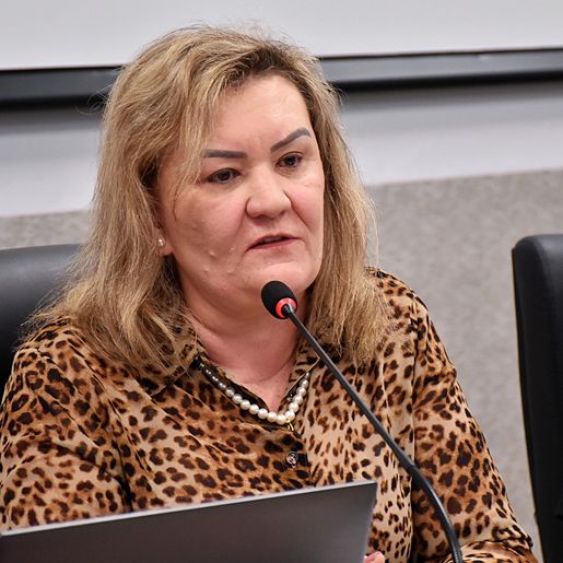 Vereadora pede sinalização para evitar entrada de caminhões no centro de SMO