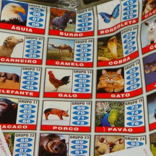 Justiça confirma pena para pai e filha que exploravam tráfico de drogas e o jogo do bicho