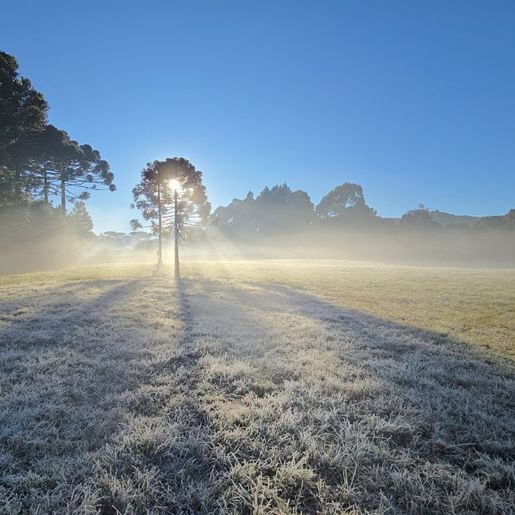 Terça-feira começa com temperaturas negativas e geada ampla em SC