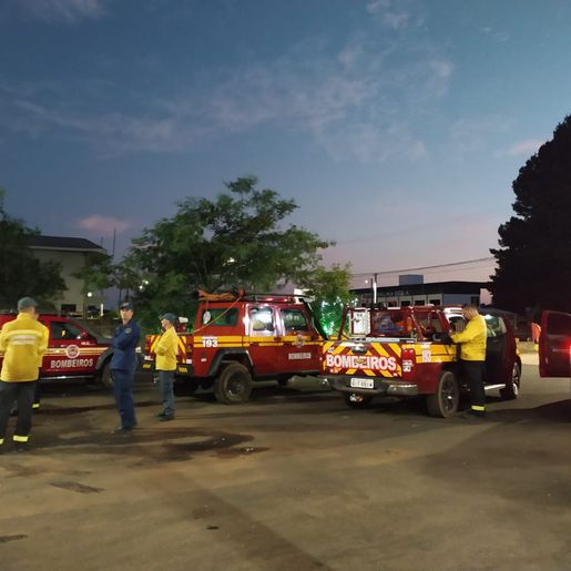 Bombeiros combatem incêndio em área de reflorestamento por 14 horas