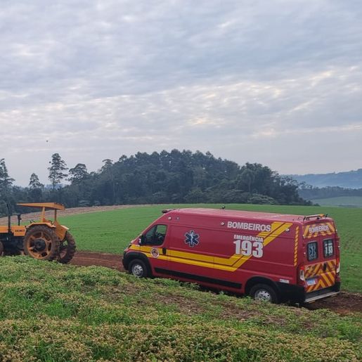 Homem fica inconsciente após ser atingido por árvore em Pinhalzinho