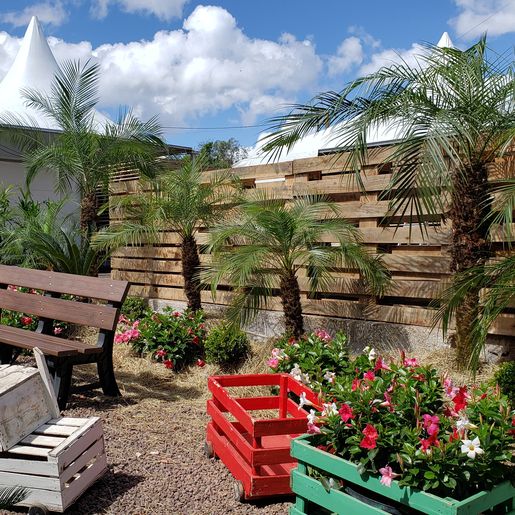 14ª Efacitus: CCO finaliza preparativos para abertura oficial nesta sexta-feira