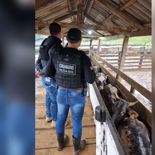 Polícia Civil realiza fiscalização em propriedade rural de Modelo