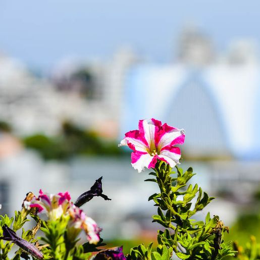 Estiagem, temporais e até ondas de frio: veja como será a primavera