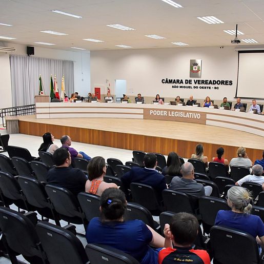 Em sessão extraordinária, Câmara escolhe membros de comissões permanentes