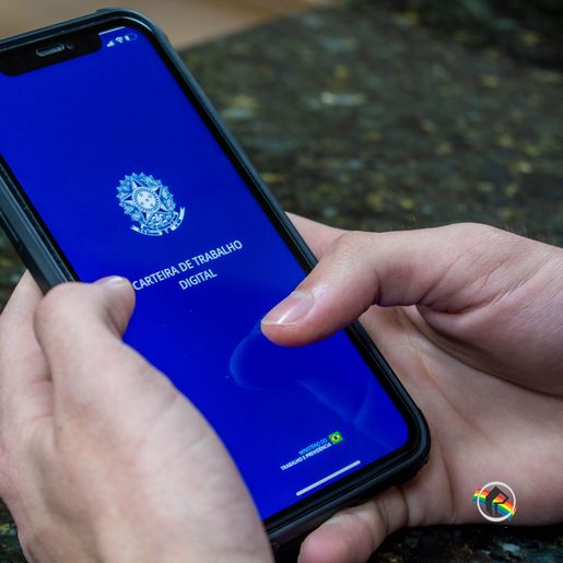 SC teve 129,4 mil empregos abertos até novembro, mas ritmo está menor