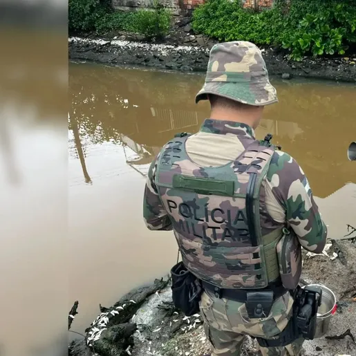 Defesa Civil aponta duas possíveis causas para a morte de milhares de peixes em rio de SC