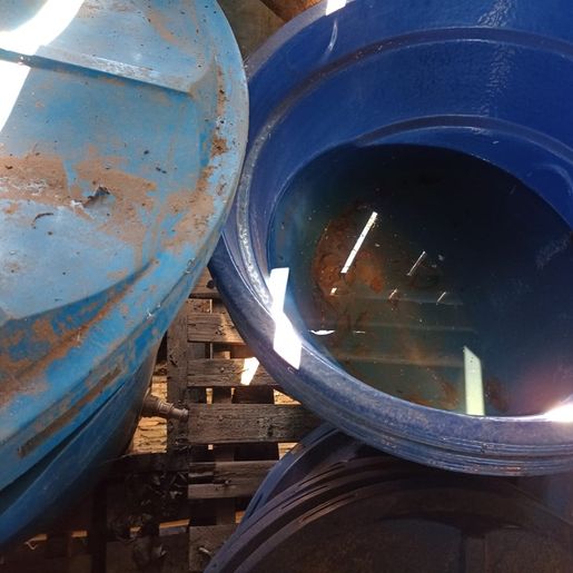 São Miguel do Oeste registra primeiro caso de dengue do ano