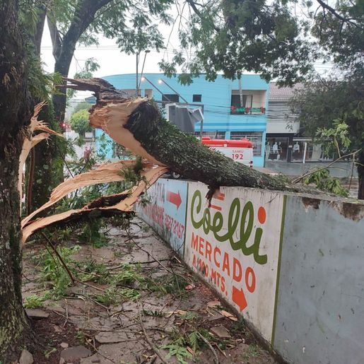 Forte temporal deixa feridos e muitos estragos em Francisco Beltrão