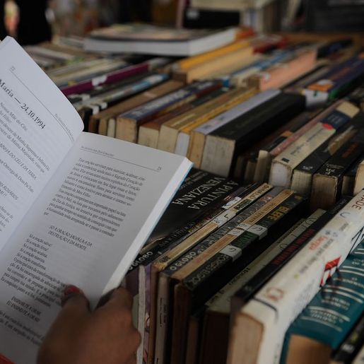 Universidade Gratuita deve ofertar até 75 mil bolsas em SC