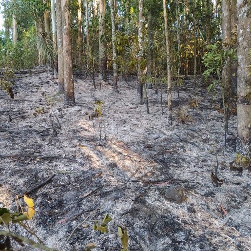 Bombeiros combatem incêndio no interior