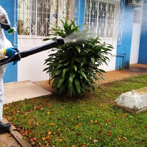 Fumacê contra a dengue começa nesta quarta em São Miguel do Oeste