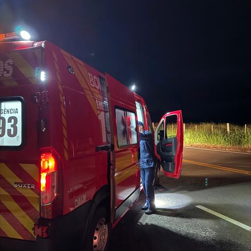 Motociclista fica ferido após colidir com boi na SC-492, em Barra Bonita