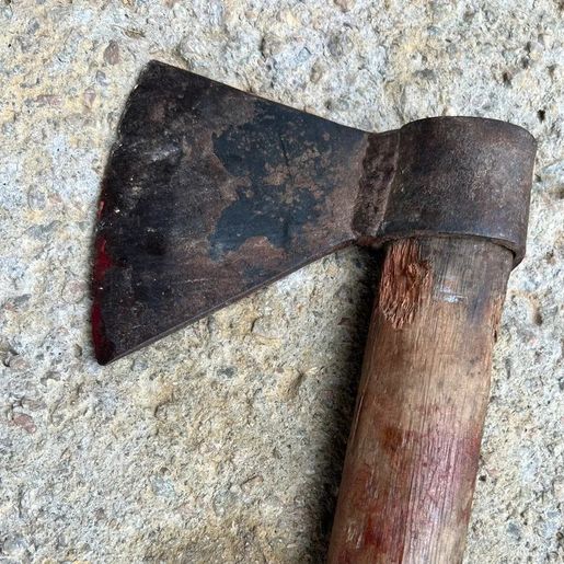 Filha de 11 anos desarma pai que agredia mãe em SC