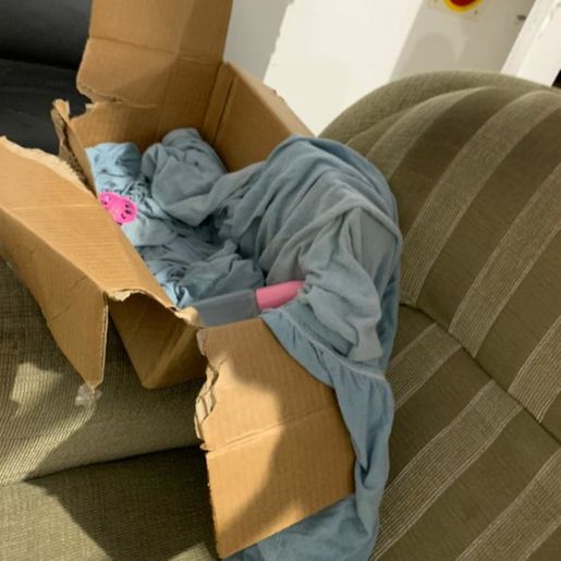 Recém-nascida de apenas 1 dia é encontrada em caixa de papelão em SC