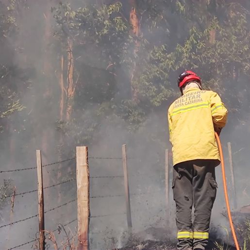Período atípico exige atenção contra riscos de queimadas, alerta bombeiros