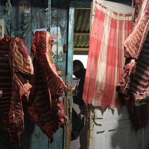 Carne de cavalo virava hambúrguer em cidade no Rio Grande do Sul