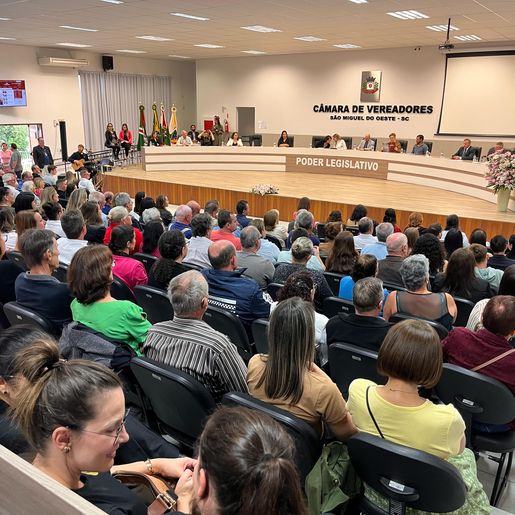 Renovação da Galeria Lilás e homenagens marcam sessão especial da Câmara de Vereadores em SMO