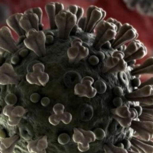 Oeste registra primeira morte atribuída ao Coronavírus