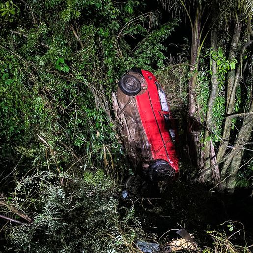 Motorista perde o controle de carro, capota e se choca com árvores na BR-163