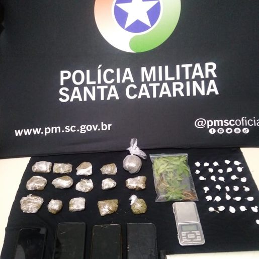 Polícia prende três homens por tráfico e apreende 12 pés de maconha em Mondaí
