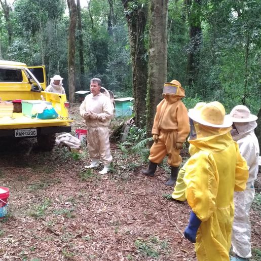 Epagri orienta sobre alimentação de abelhas em períodos de chuva