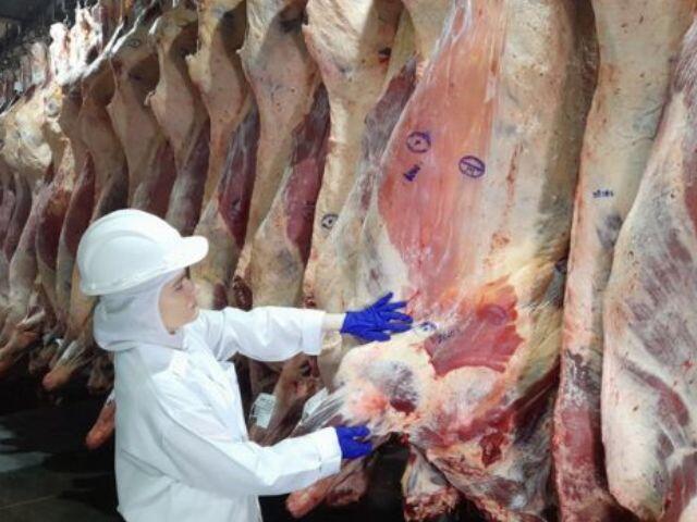 União Europeia suspende importações de carnes brasileiras a partir de quinta