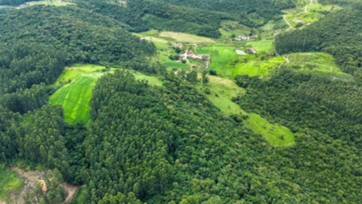 SC abre inscrições para programa que paga agricultores por preservação ambiental