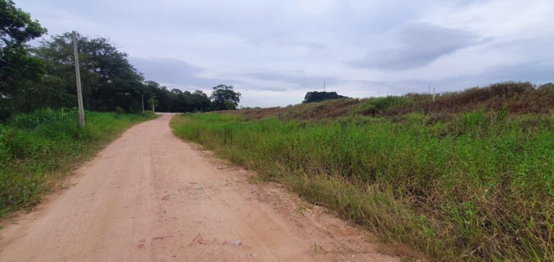 O corpo de Carine foi encontrado em uma área de mata, às margens de uma rua no bairro Poço Grande – Foto: Divulgação ND (38)