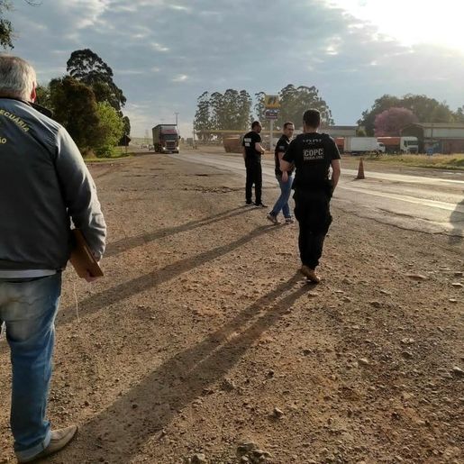 Cidasc e Polícia Civil apreendem bovinos e fecham abatedouro clandestino