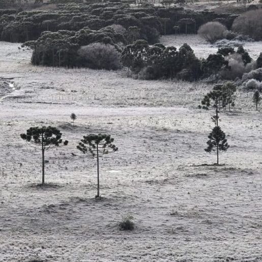 SC enfrenta mais um dia de onda de frio com geada e termômetros em -7°C
