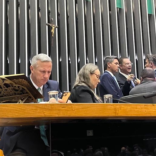 Oposição ocupa mesas da Câmara e do Senado em protesto em apoio a Bolsonaro