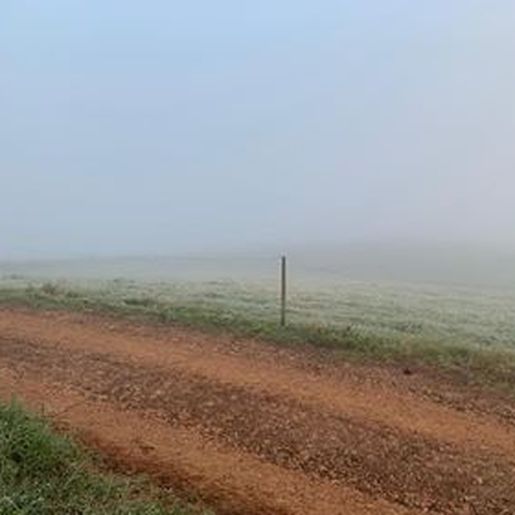 FOTOS: Internautas e ouvintes registram geada em municípios da região