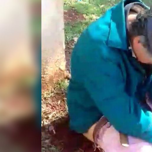 Homem senta em formigueiro em troca de pinga no Paraná