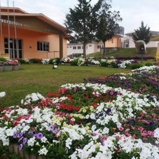 Bandeirante terá ensino integral para alunos do pré-escolar a partir de março