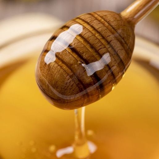 Mel de SC considerado o melhor do Brasil sofre com o tarifaço de Trump