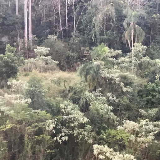 Buscas por condutor de veículo roubado e com drogas continua
